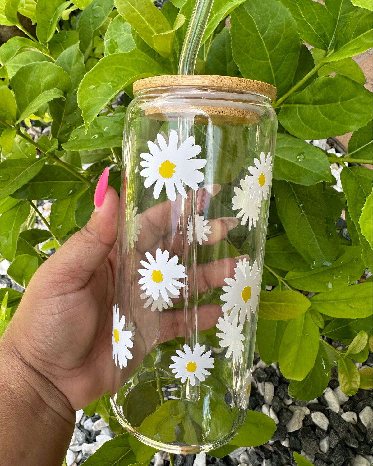 Daisies | Glass Cup