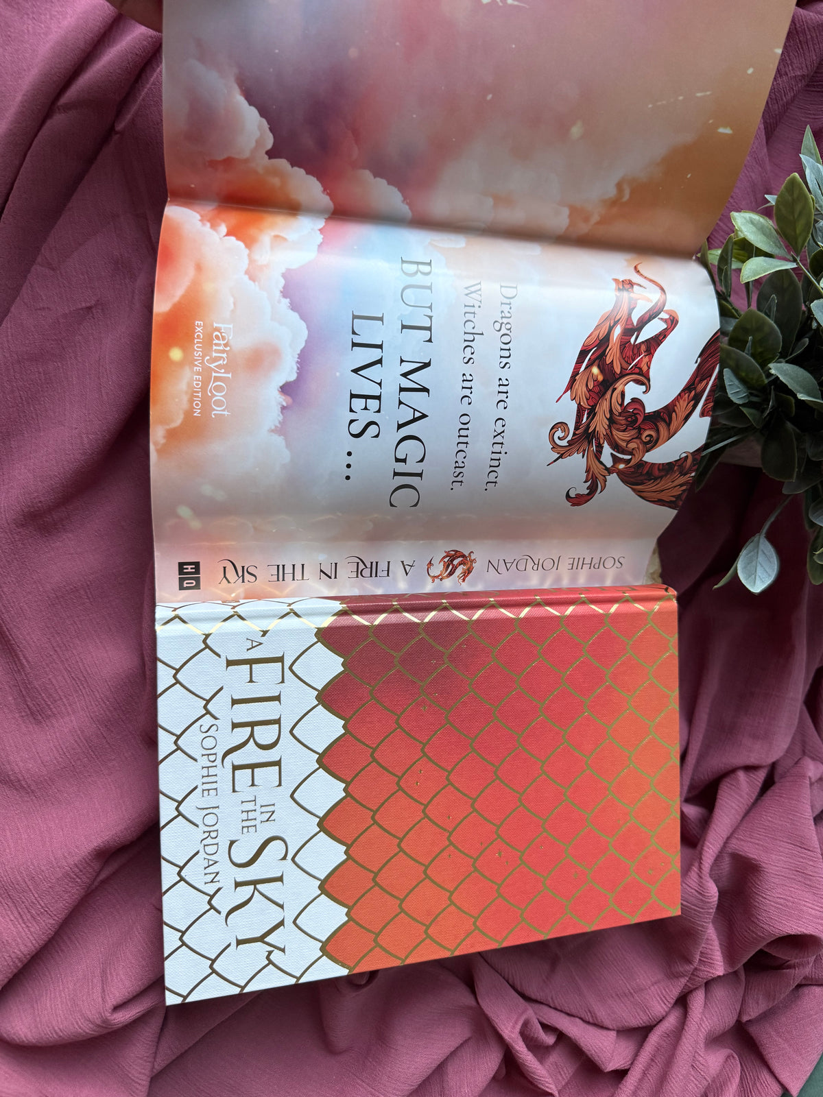A Fire in the Sky | Fairyloot Signed Special Edition