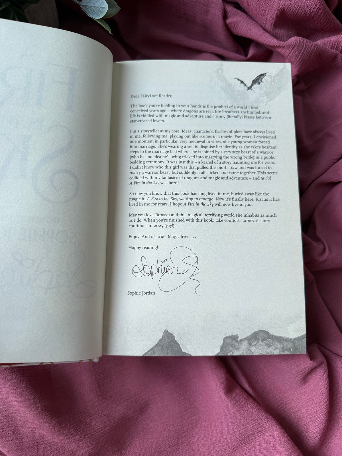 A Fire in the Sky | Fairyloot Signed Special Edition