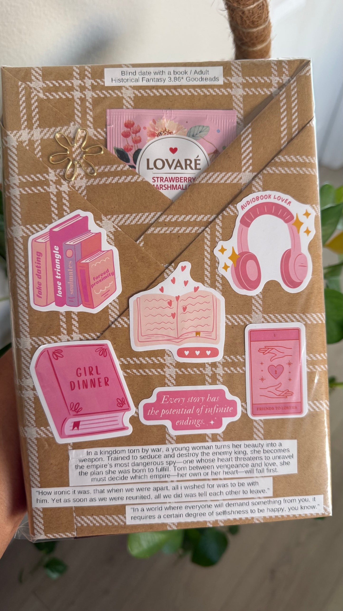 Adult Blind Date with a book